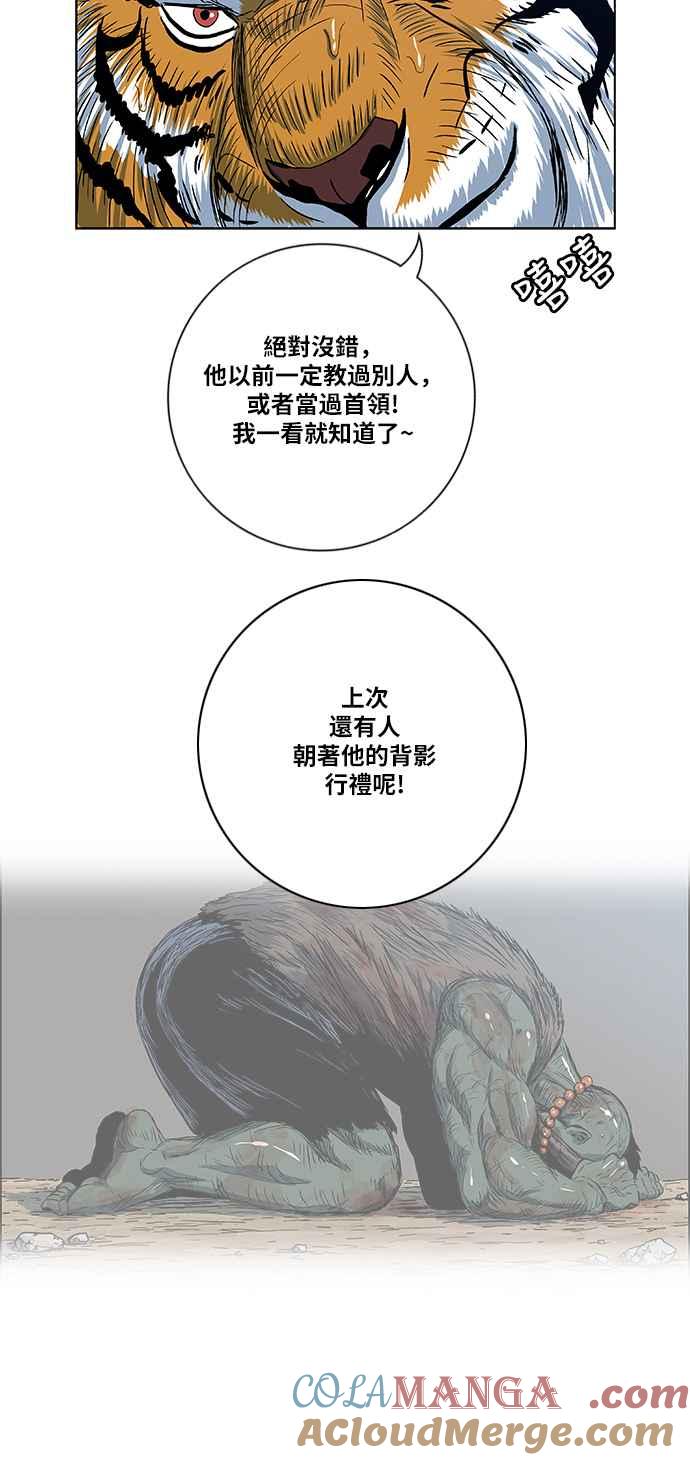 43.jpg