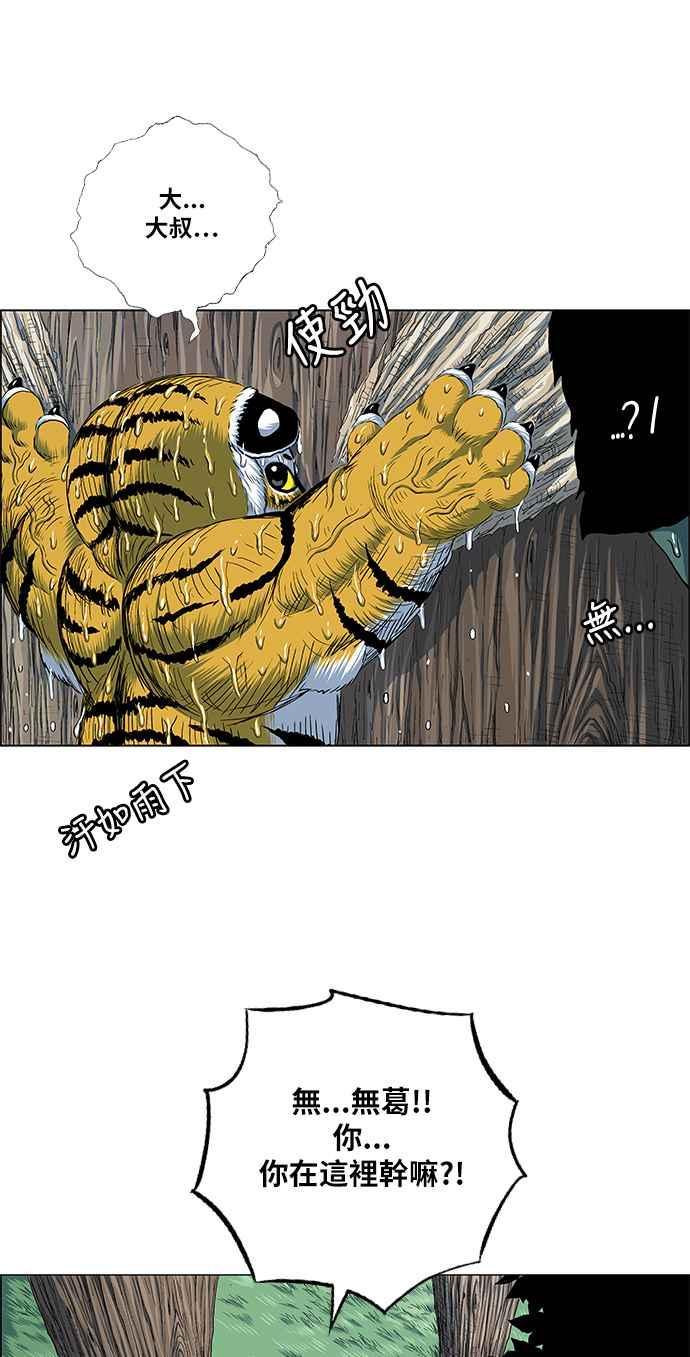 47.jpg