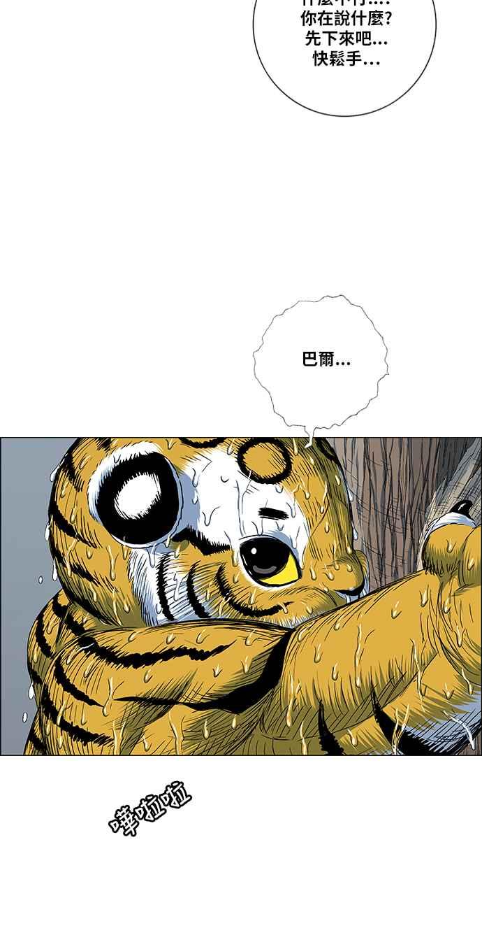 50.jpg