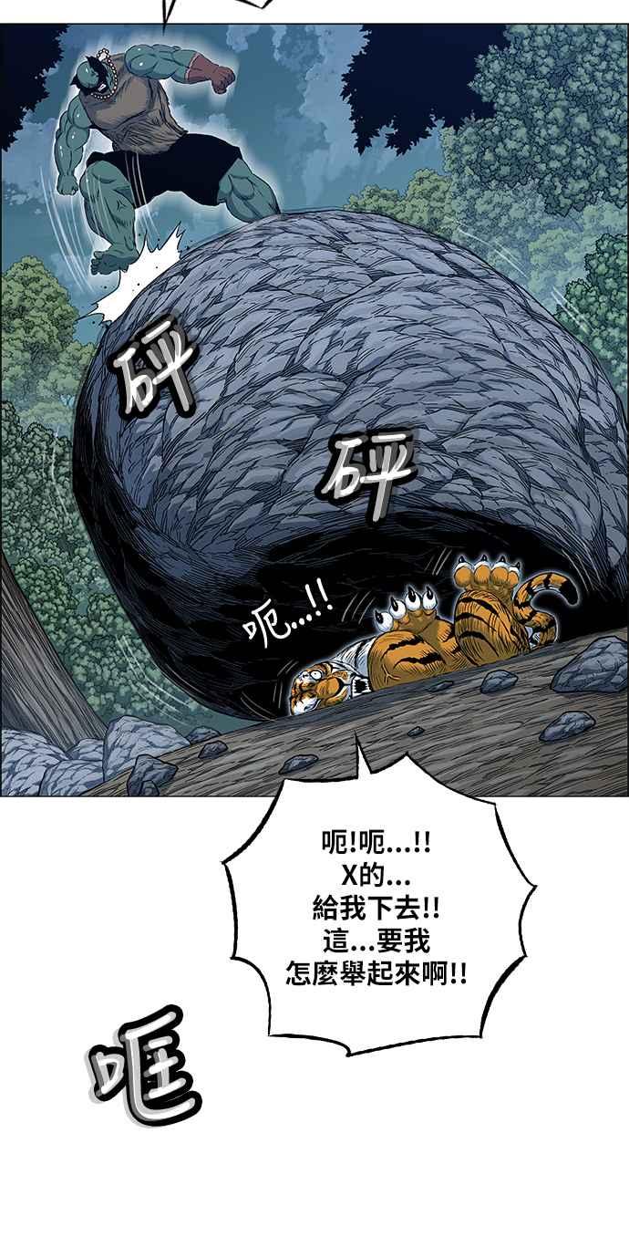 21.jpg