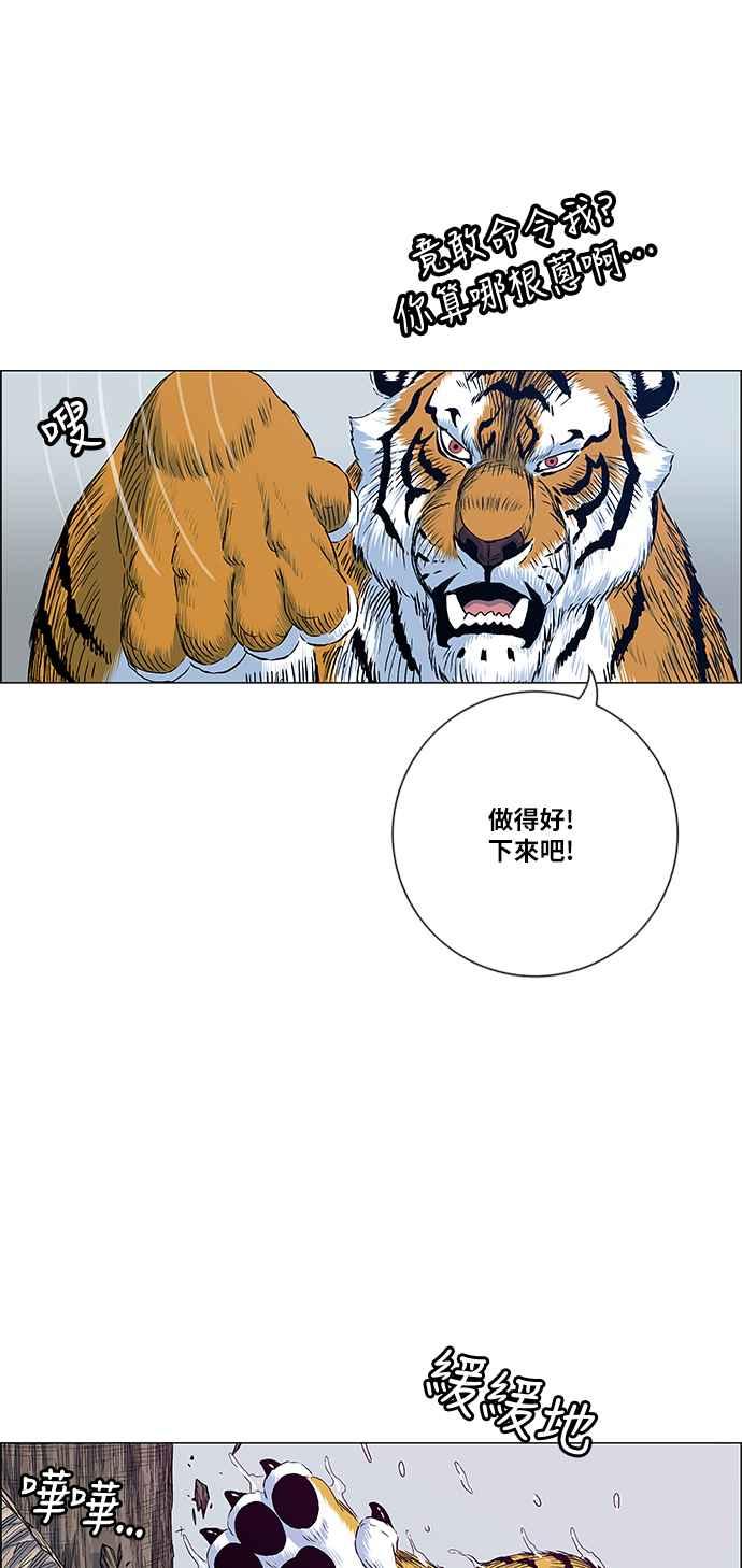 8.jpg