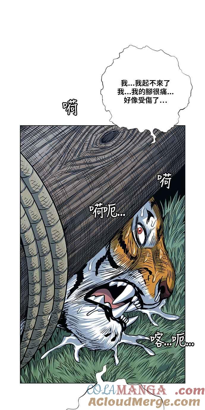46.jpg