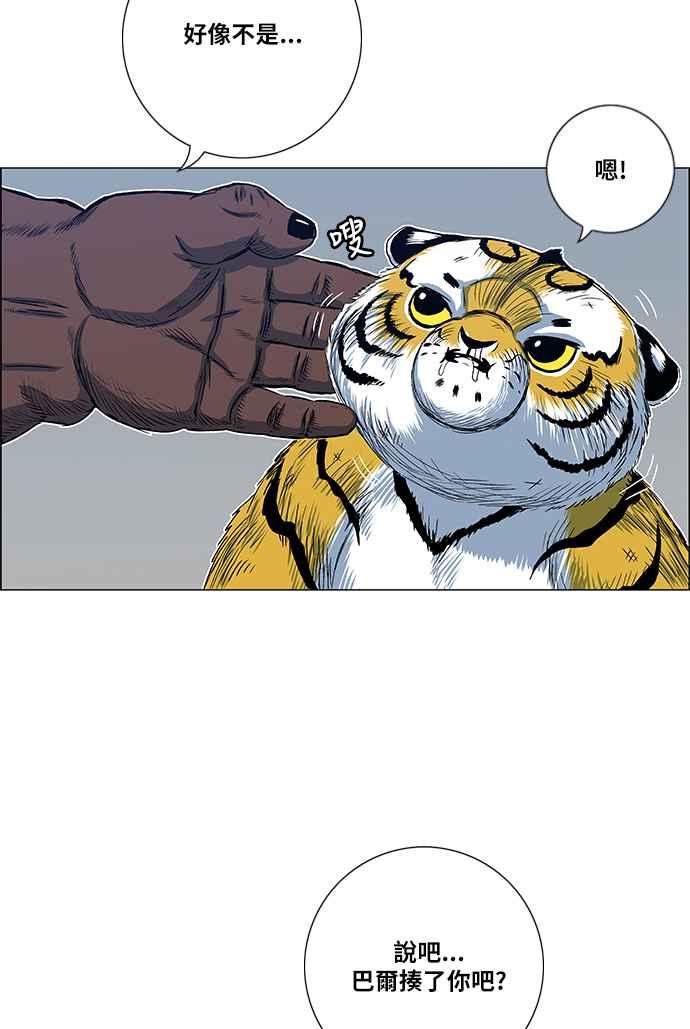 21.jpg