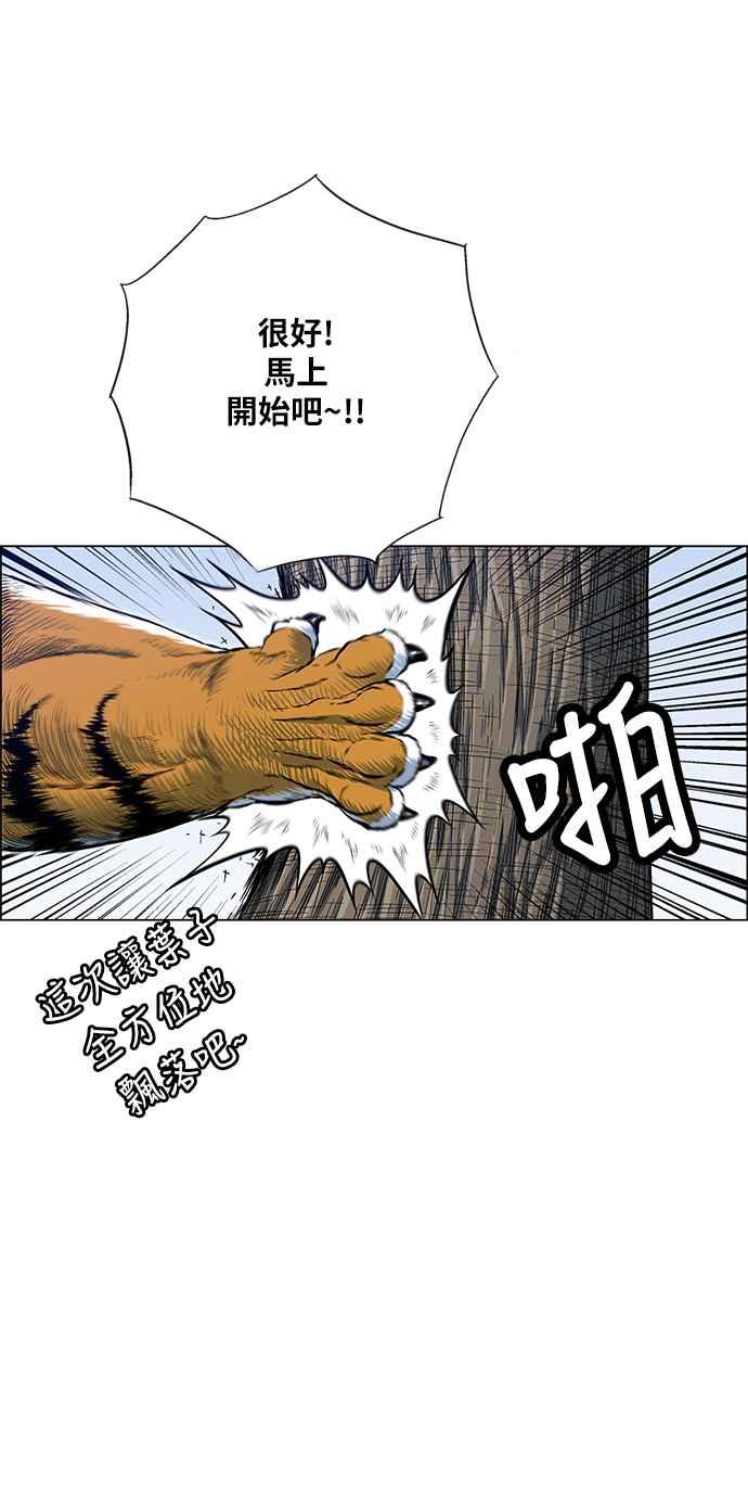 14.jpg