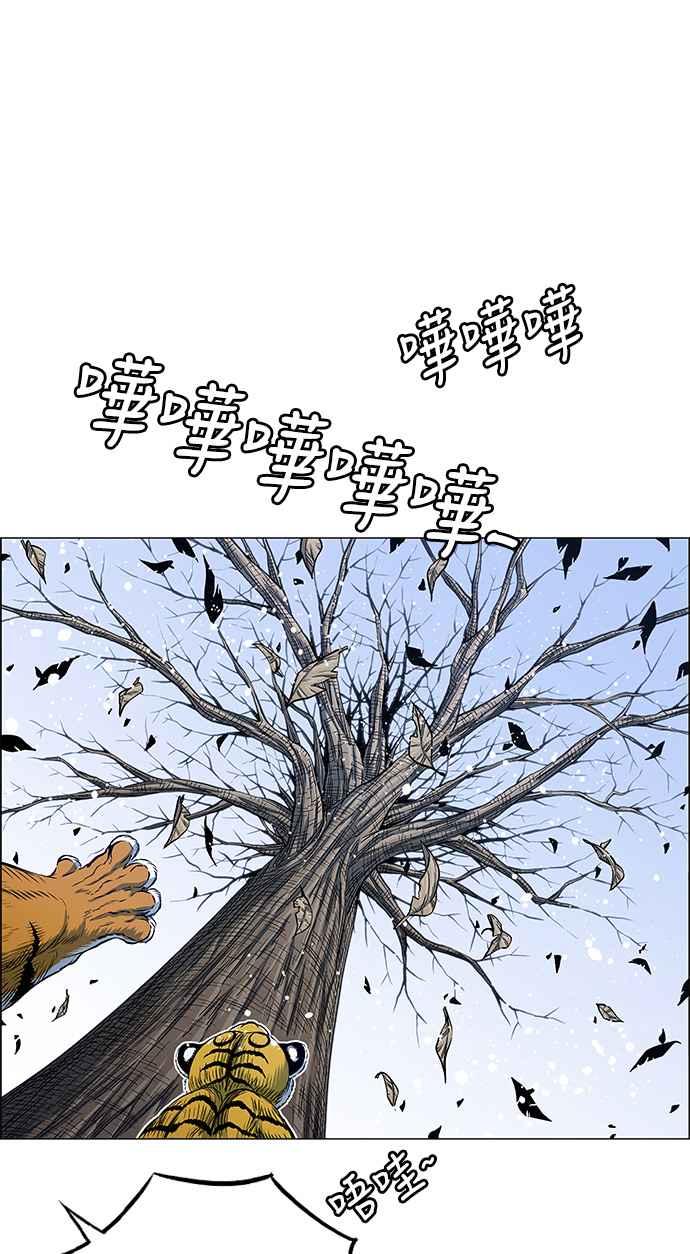 15.jpg