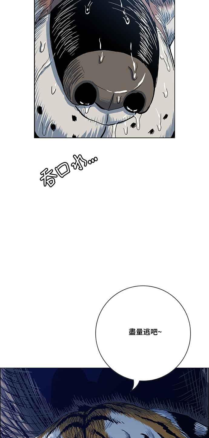77.jpg