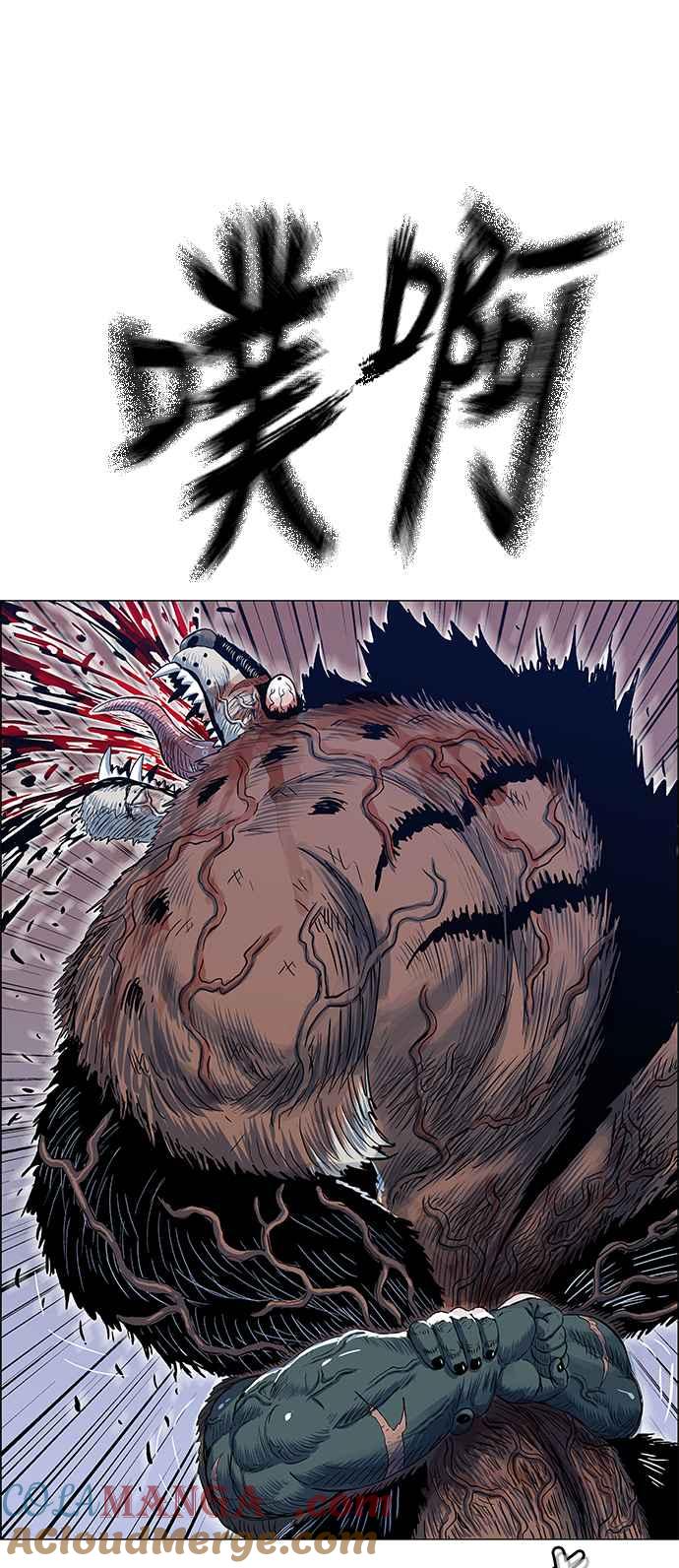 19.jpg
