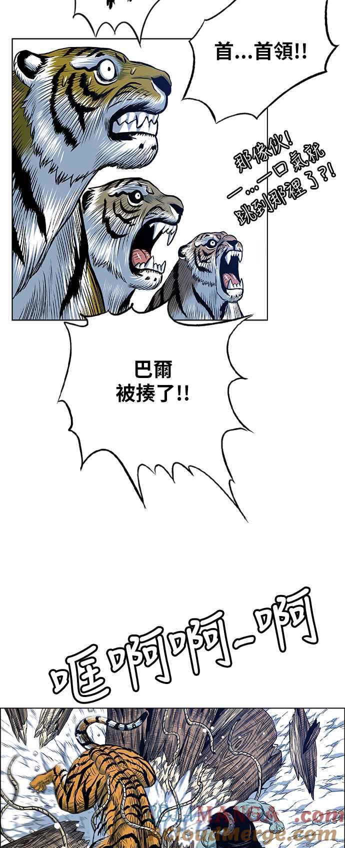 19.jpg
