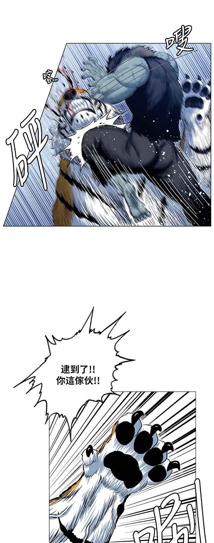 50.jpg