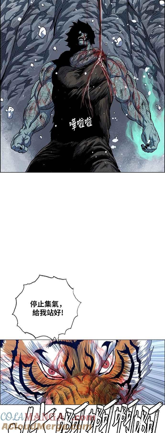 46.jpg