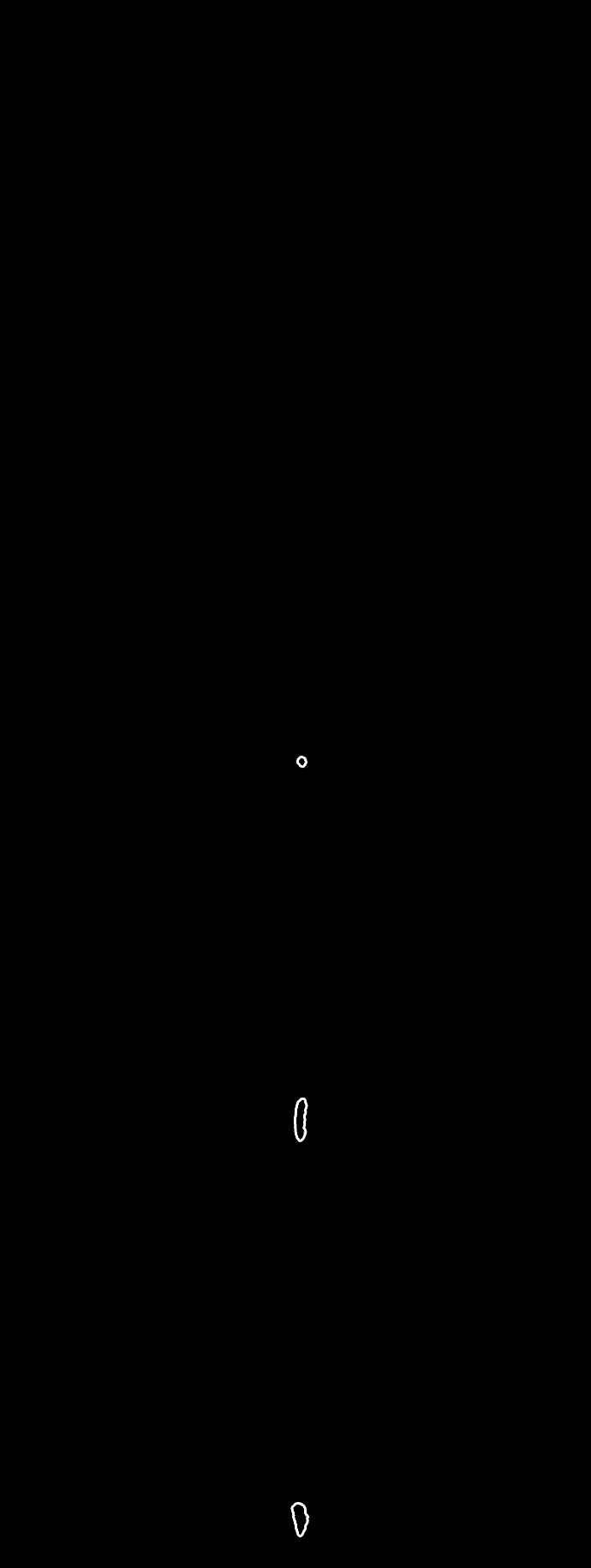 54.jpg