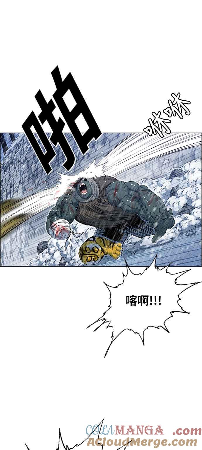 46.jpg