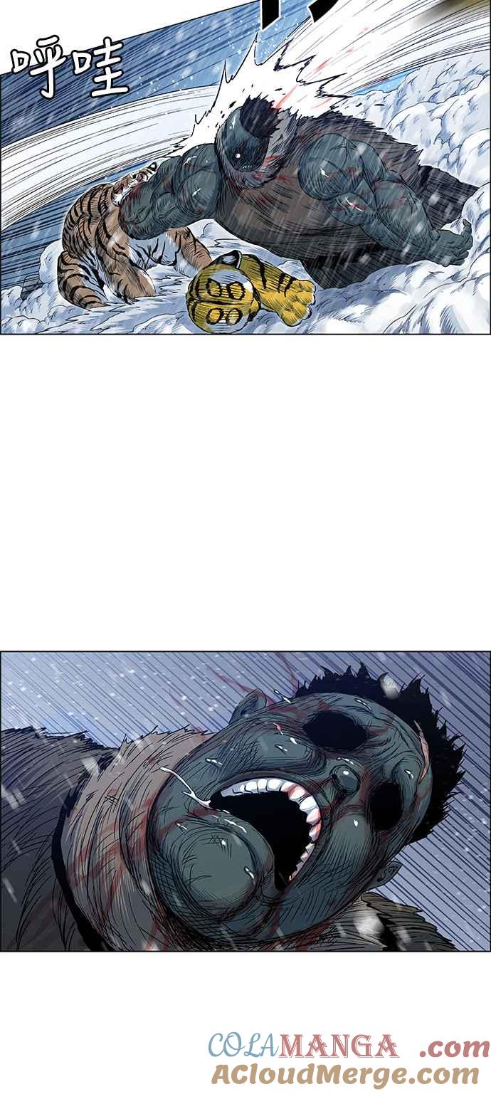 49.jpg
