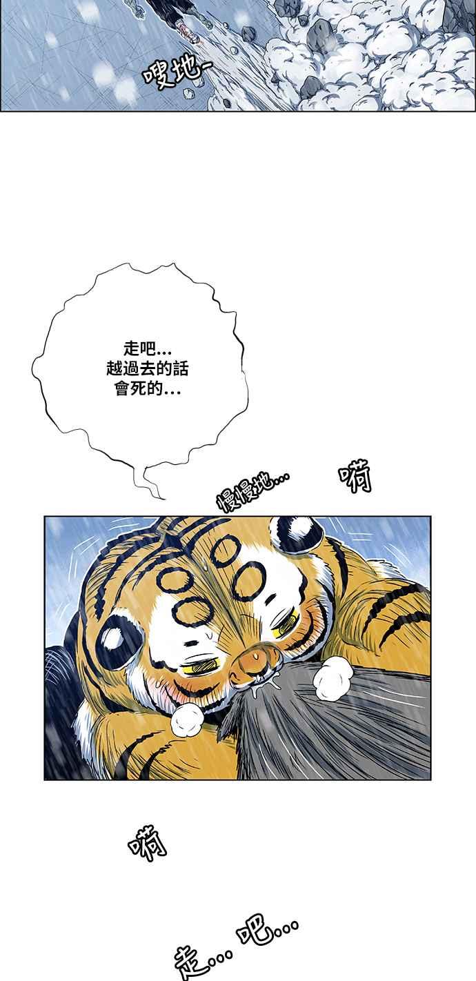 41.jpg