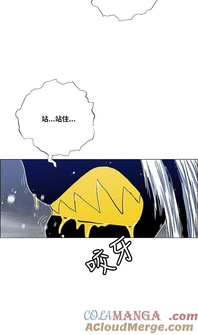 46.jpg