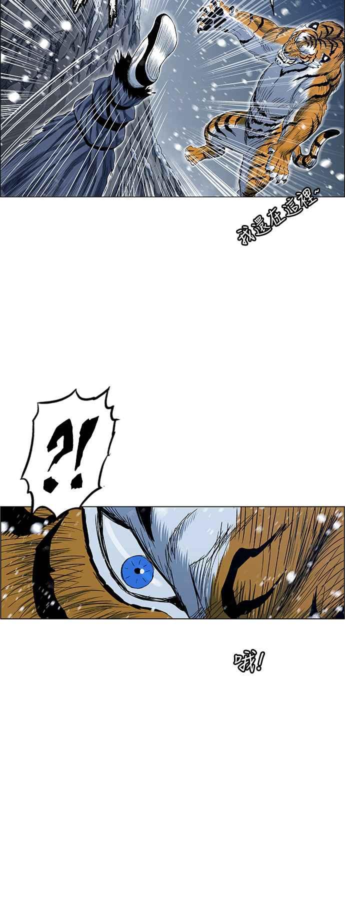 41.jpg