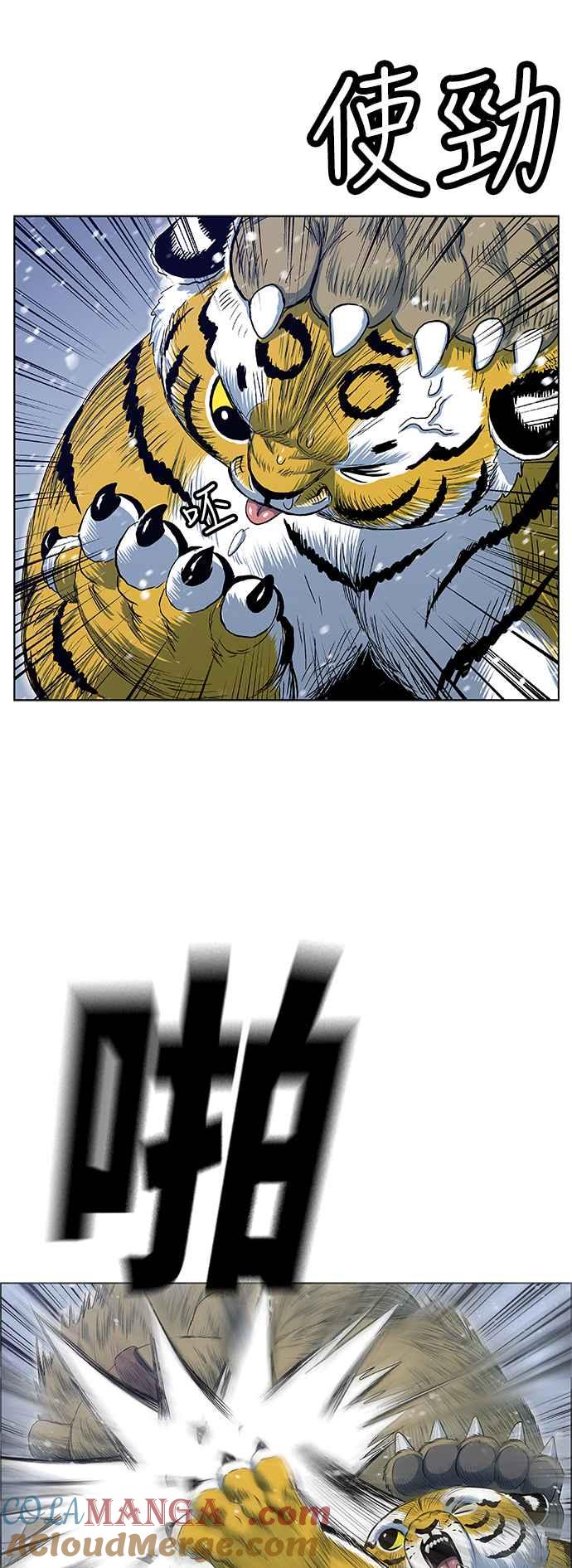 37.jpg