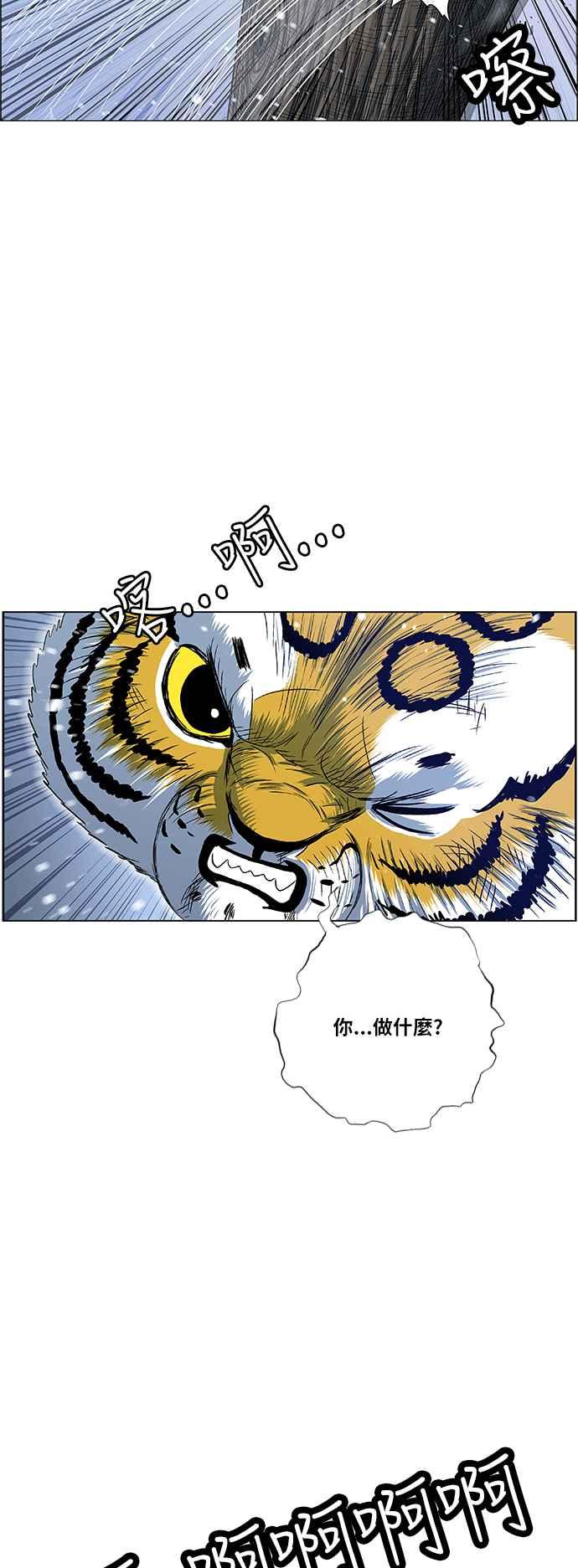 27.jpg