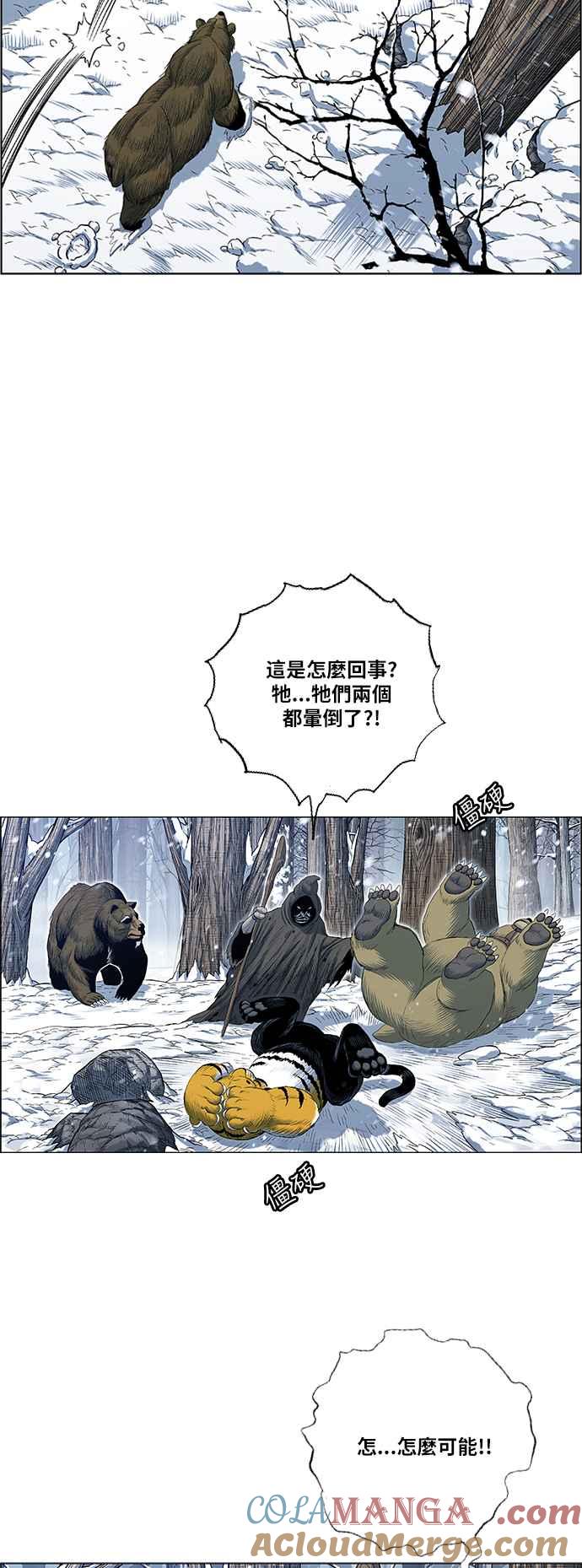 46.jpg