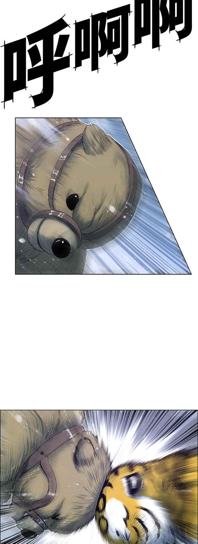 41.jpg