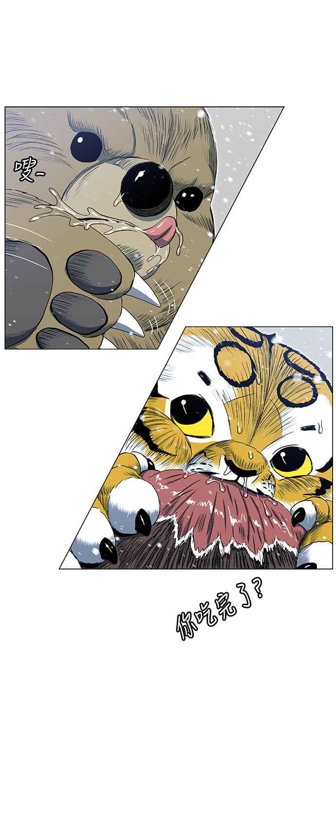 51.jpg