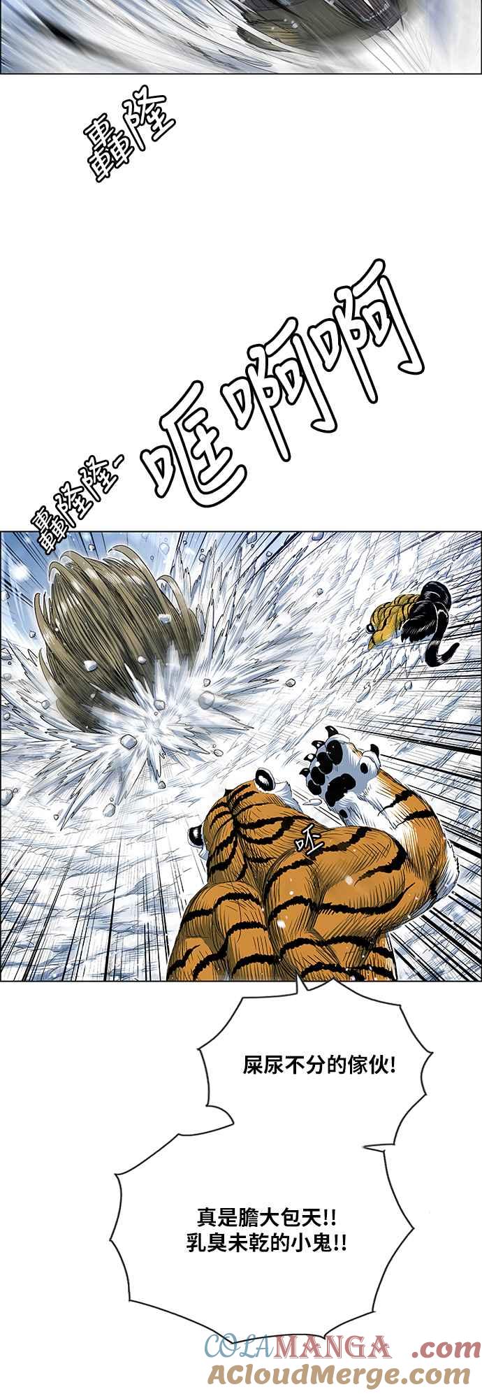 19.jpg