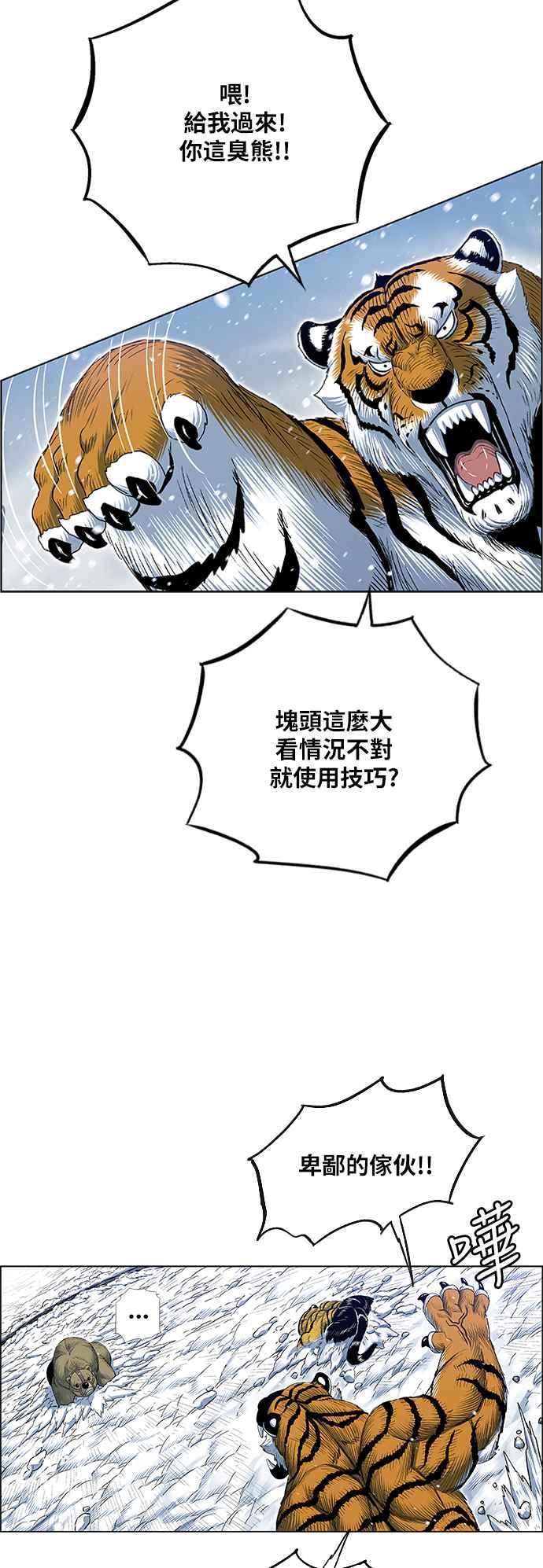 17.jpg