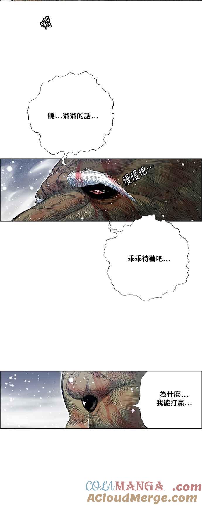 13.jpg