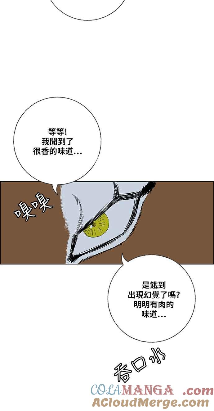 97.jpg