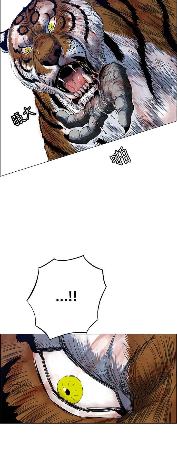 29.jpg