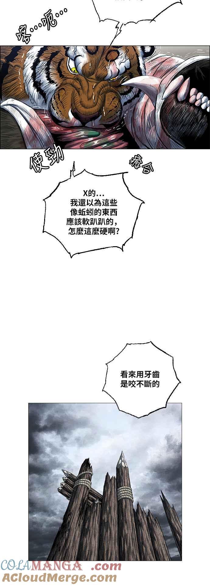 25.jpg