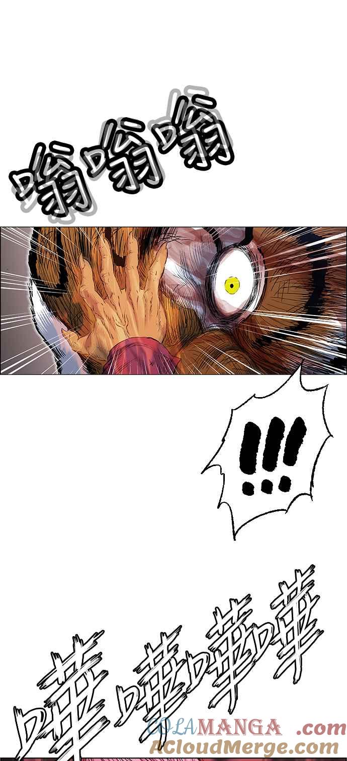16.jpg