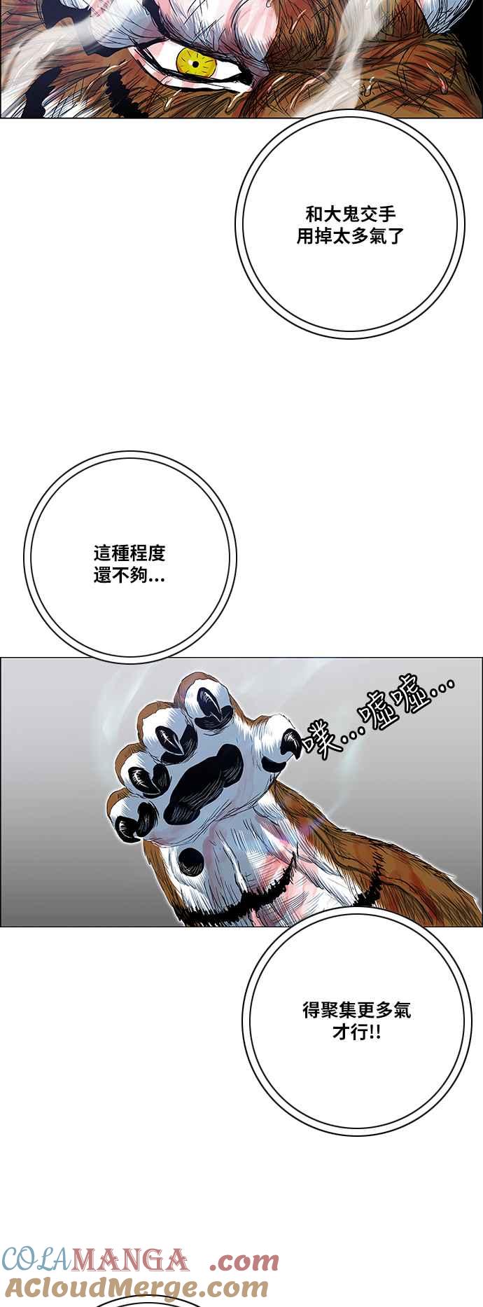 49.jpg