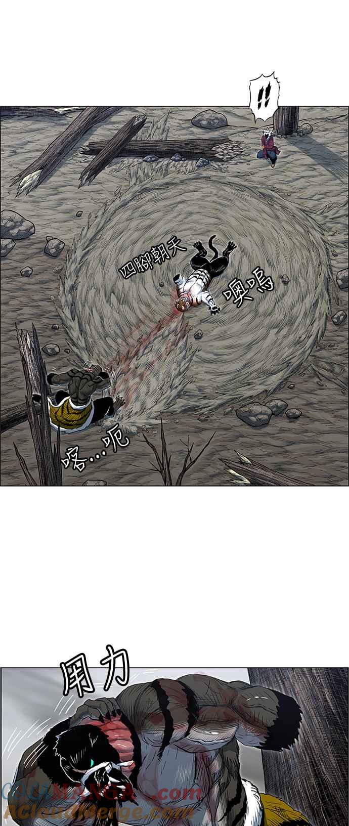 19.jpg