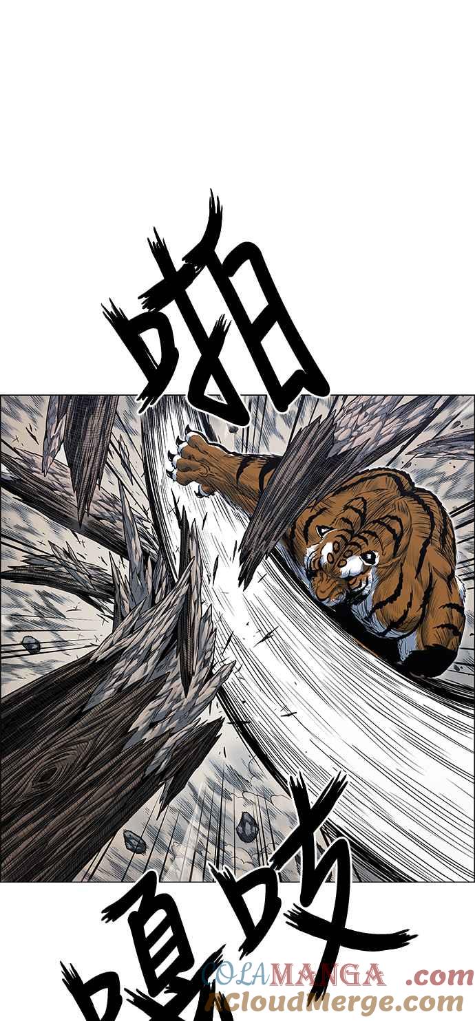 19.jpg