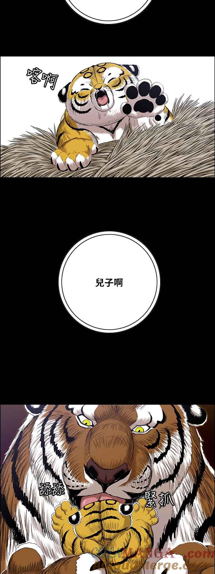 64.jpg