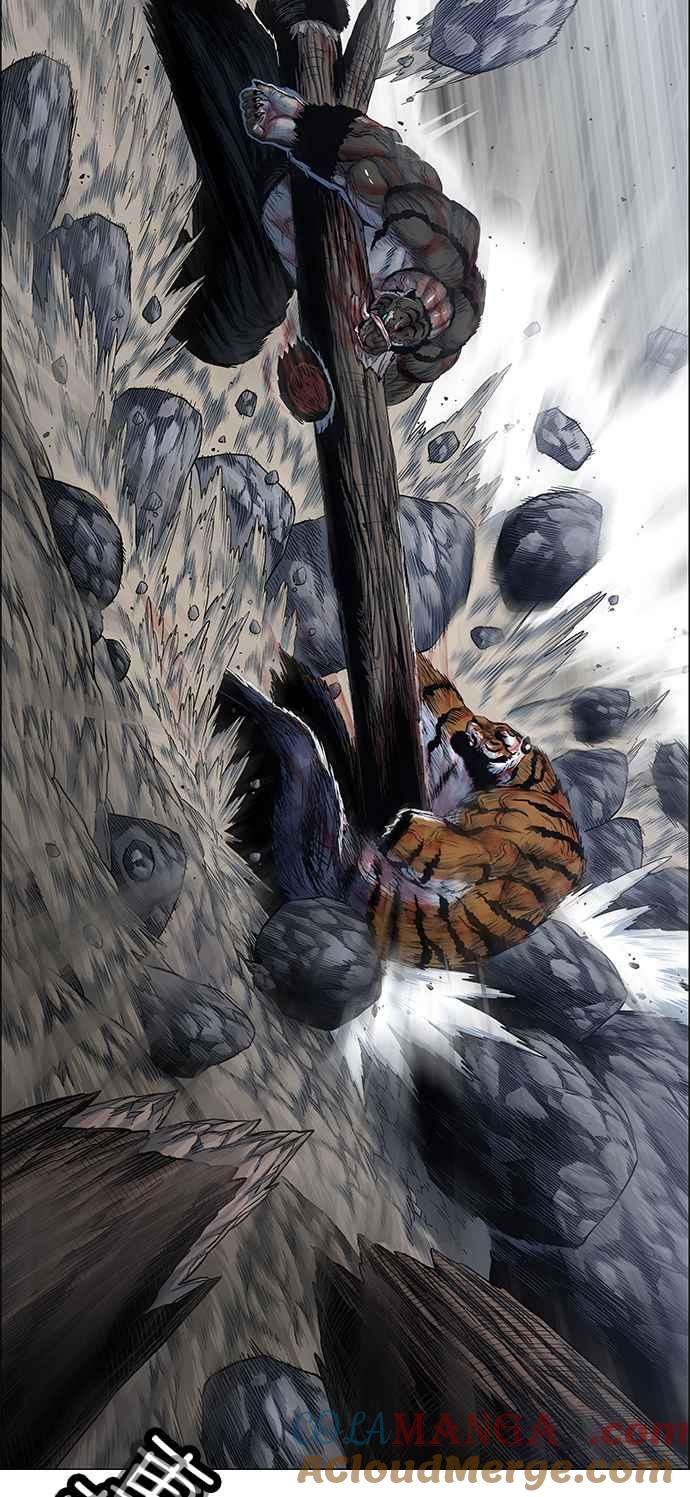 25.jpg