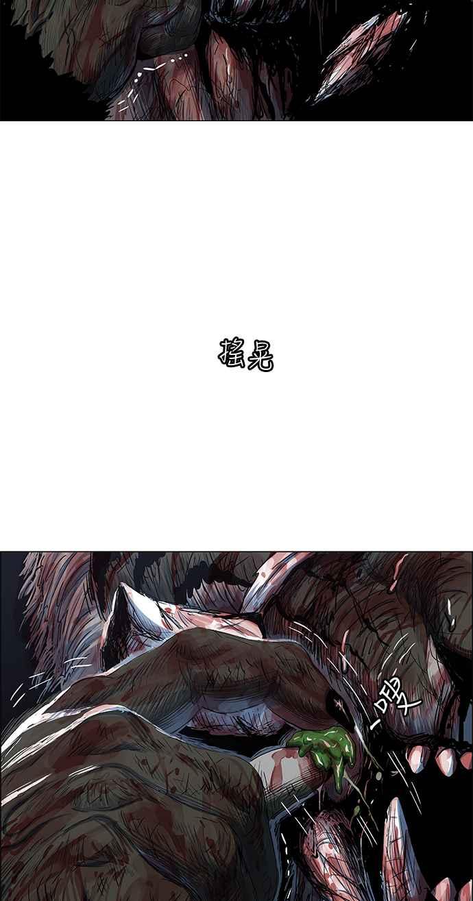 48.jpg