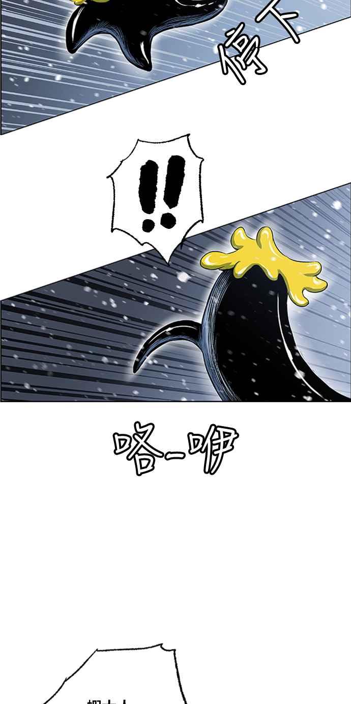 48.jpg