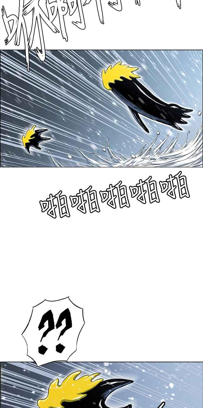 47.jpg