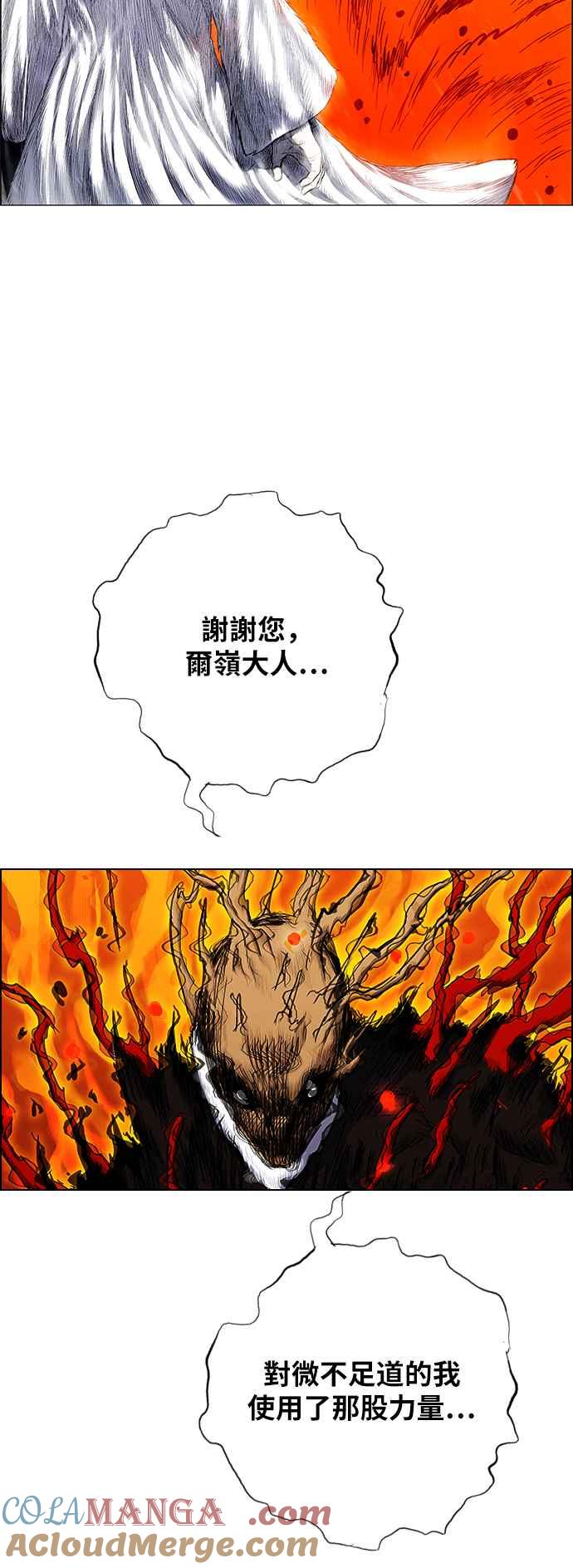 43.jpg