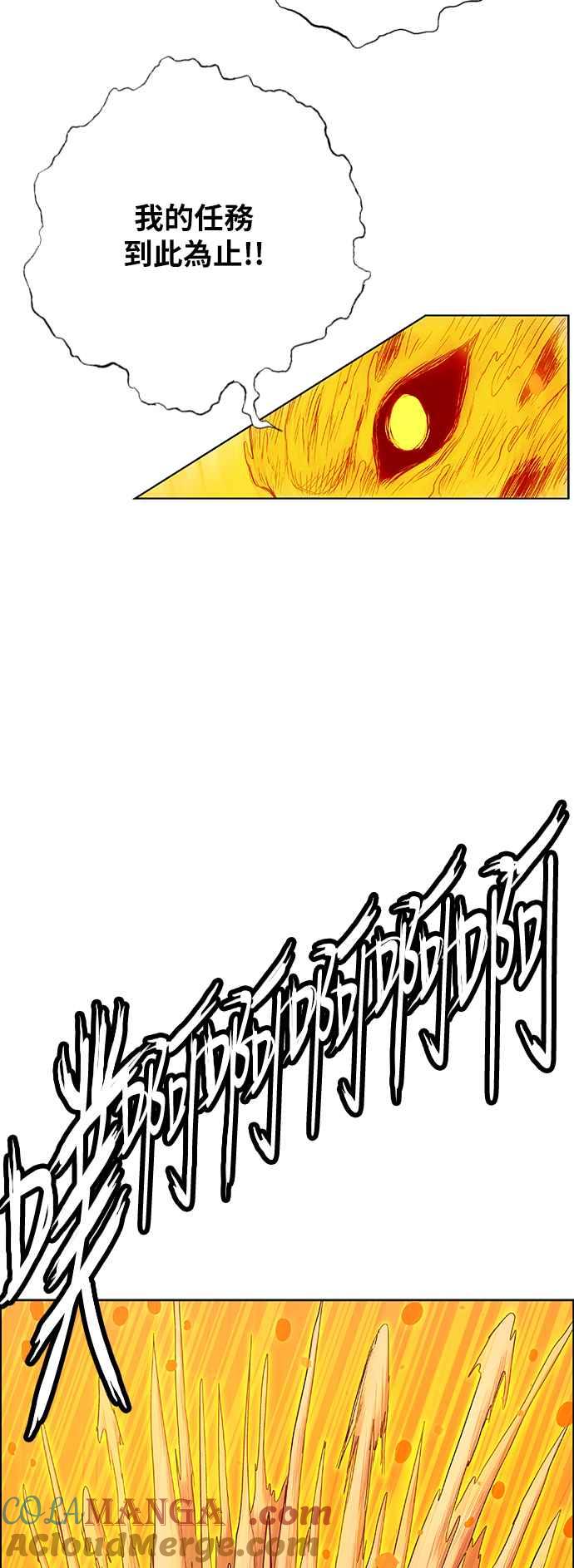 46.jpg