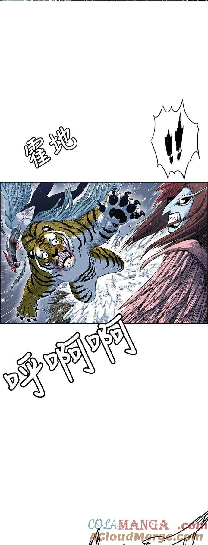 49.jpg