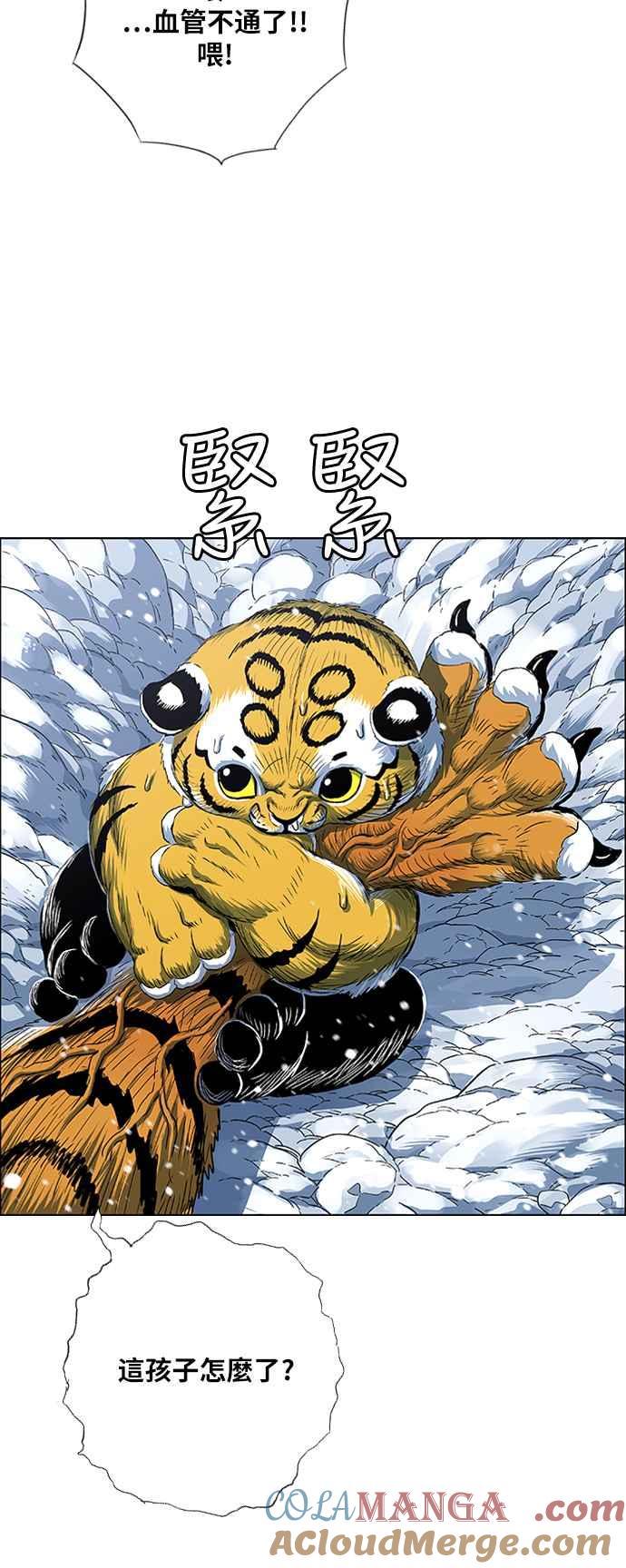 61.jpg