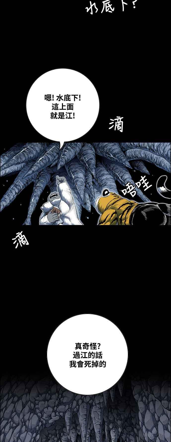 51.jpg