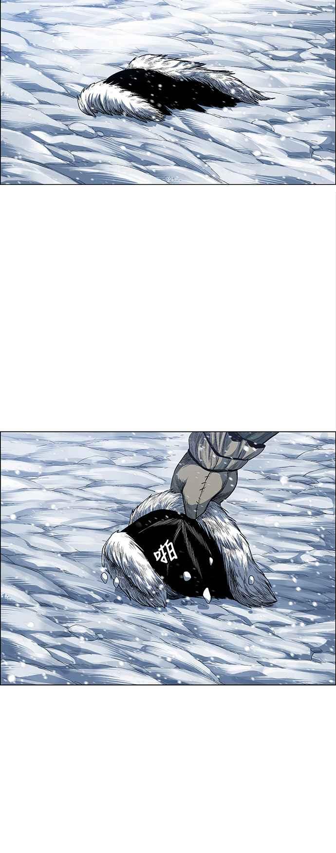 41.jpg