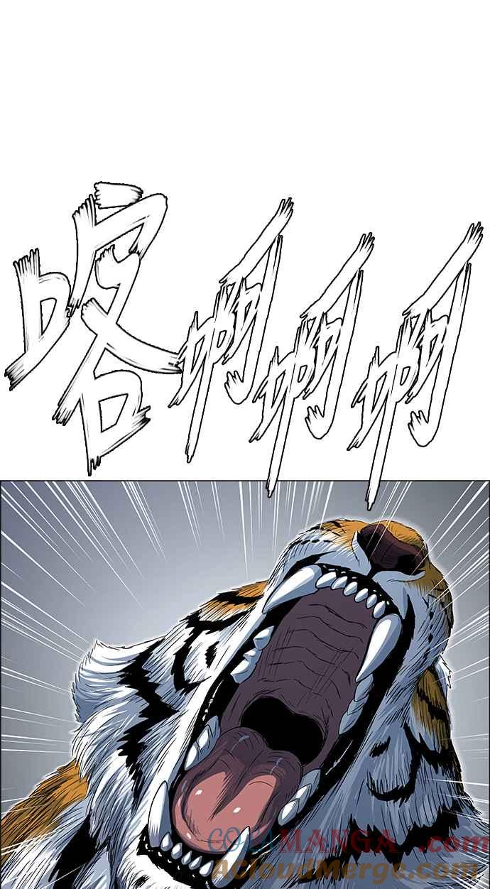 37.jpg