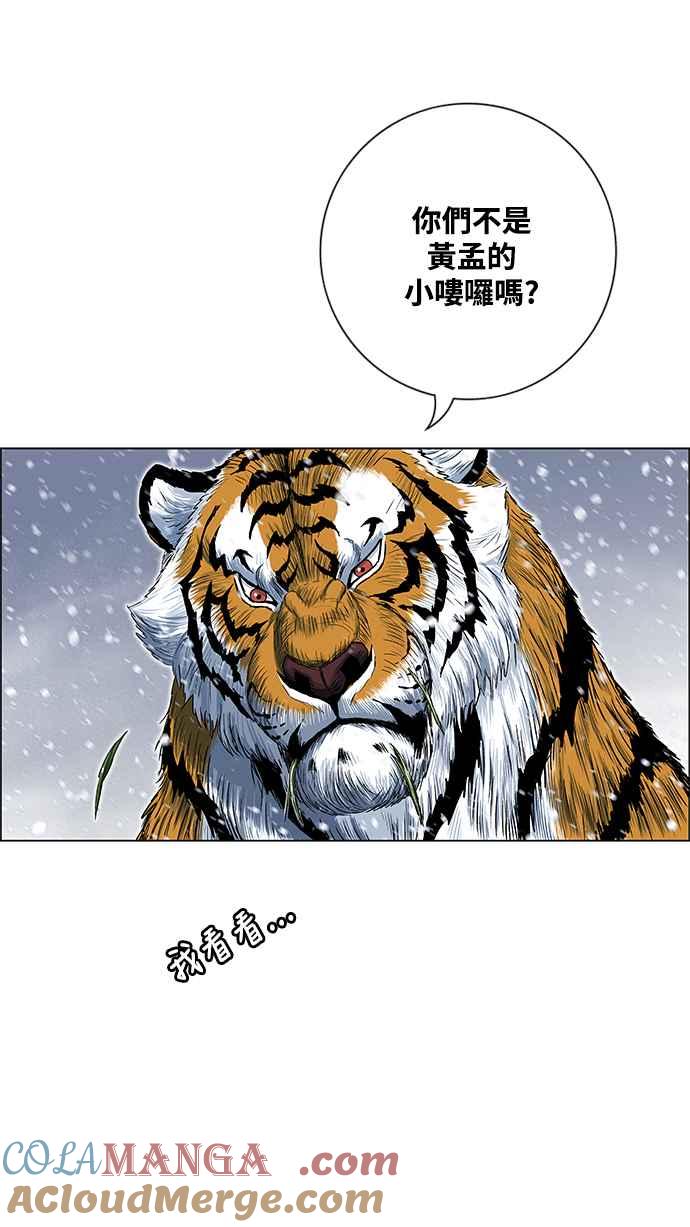 49.jpg
