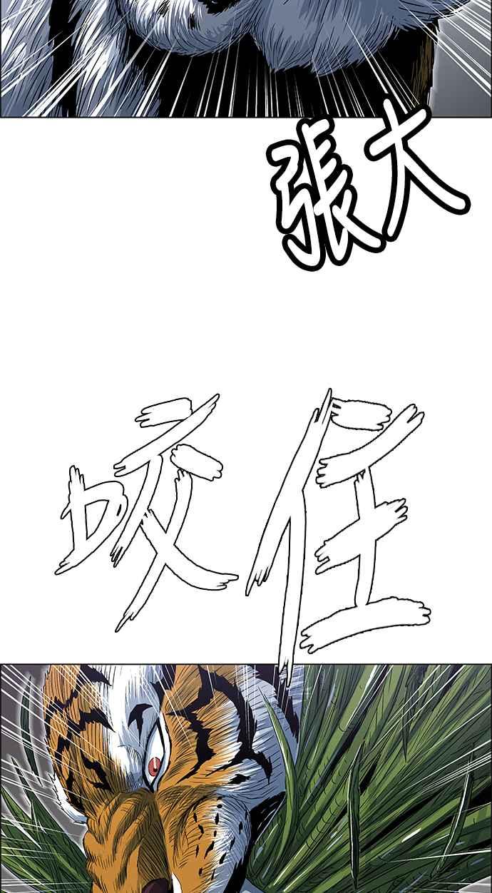 38.jpg