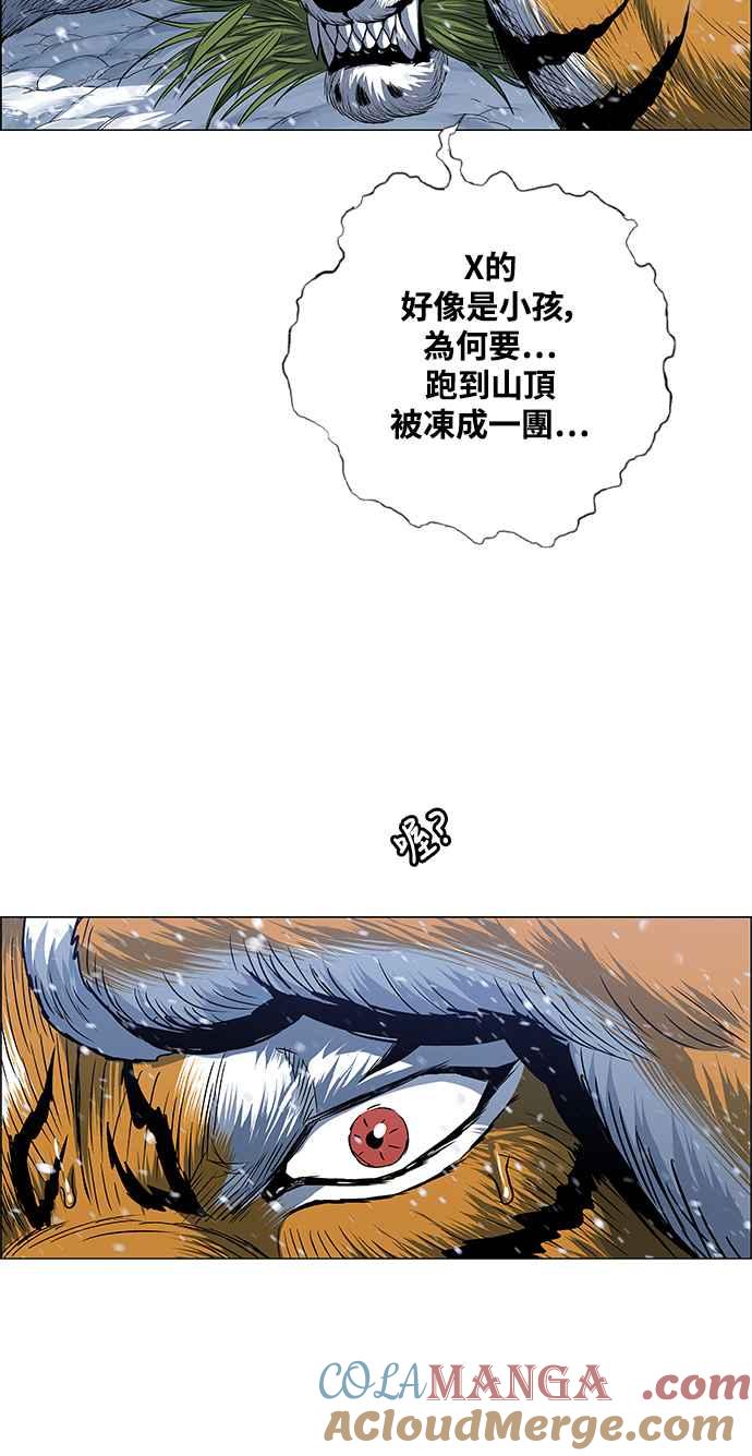 13.jpg